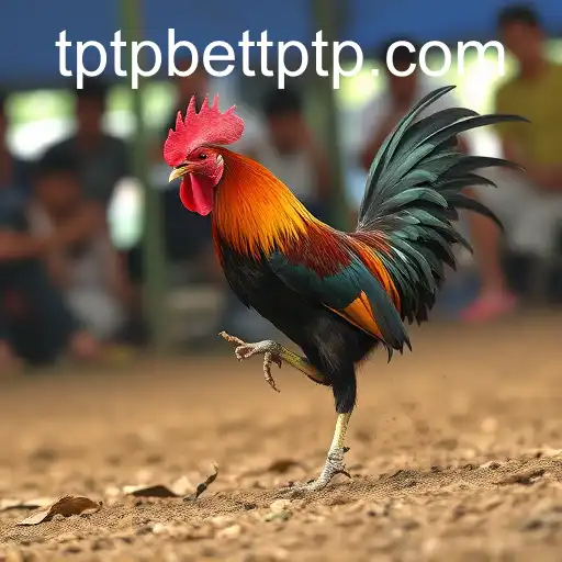 Security and Trust tptpbet - International Licenses and Certifications